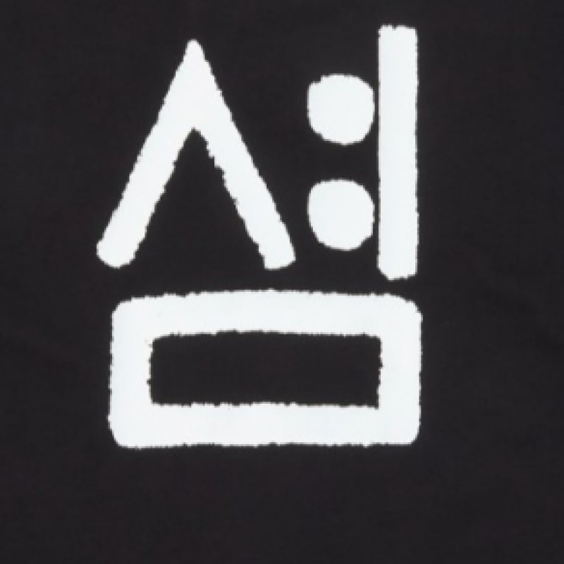 ザノースフェイス NT7UQ53E TNF ハングルショートスリーブラウンドティー2