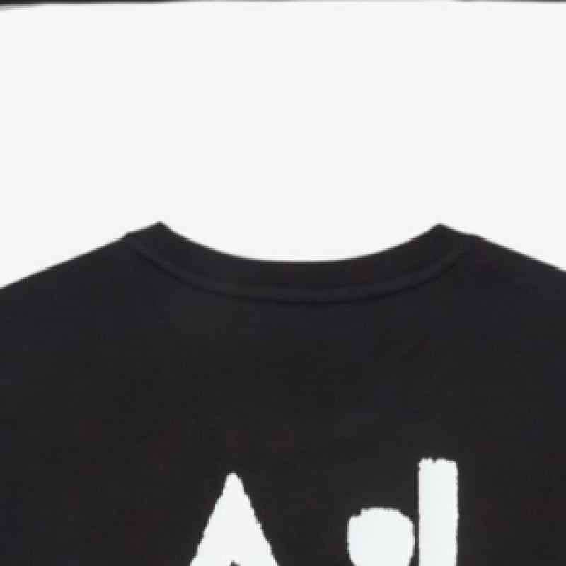 ザノースフェイス NT7UQ53E TNF ハングルショートスリーブラウンドティー2