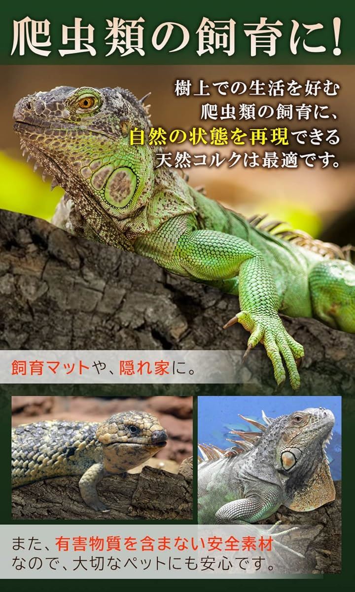 コルク樹皮 大きい 着生 ビカクシダ 蘭 エアプランツ 爬虫類 観葉植物 本物 ヘゴ板(特大400mmx600mm 1枚) コルク樹皮 大きい 着生 ビカクシダ 蘭 エアプランツ 爬虫類 観葉植物 本物 ヘゴ板(特大400mmx600mm 1枚)