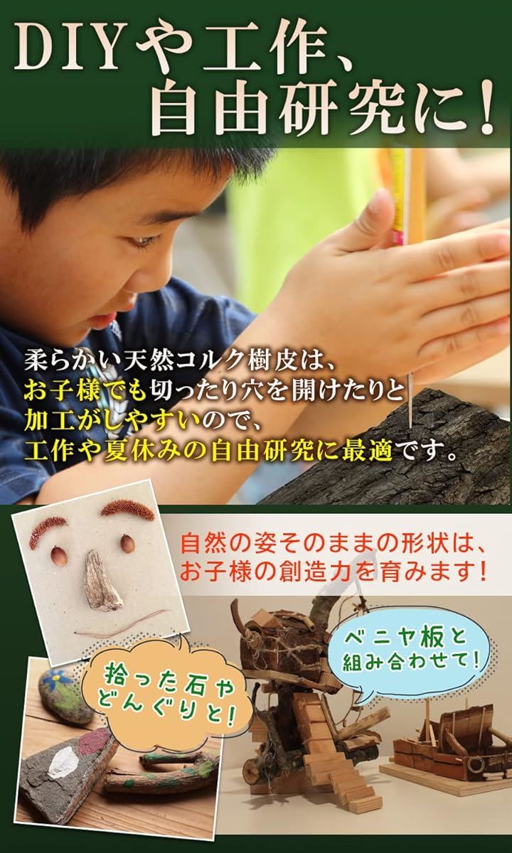 コルク樹皮 大きい 着生 ビカクシダ 蘭 エアプランツ 爬虫類 観葉植物 本物 ヘゴ板(特大400mmx600mm 1枚) コルク樹皮 大きい 着生 ビカクシダ 蘭 エアプランツ 爬虫類 観葉植物 本物 ヘゴ板(特大400mmx600mm 1枚)