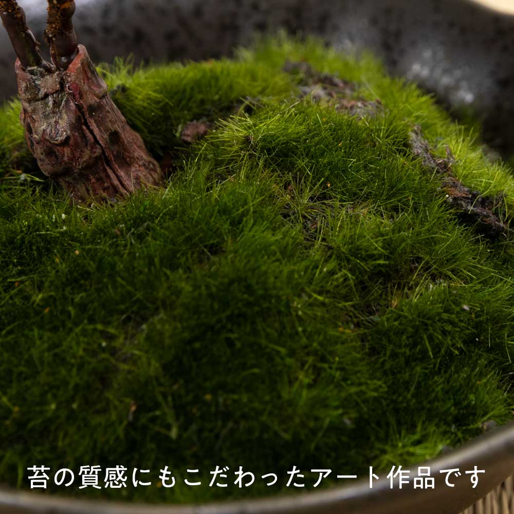 フェイクアート盆栽 然-ZEN- 寸-SUN-ミディアム12 本物を知る庭師職人がリアルな盆栽をイメージして作ったBONSAIモデル 日本的和風インテリア フェイクアート盆栽 然-ZEN- 寸-SUN-ミディアム12 本物を知る庭師職人がリアルな盆栽をイメージして作ったBONSAIモデル 日本的和風インテリア