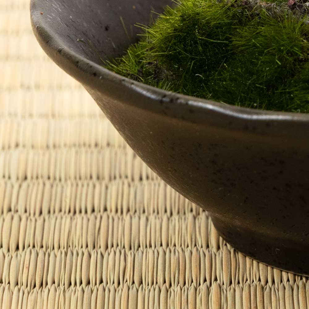 フェイクアート盆栽 然-ZEN- 寸-SUN-ミディアム12 本物を知る庭師職人がリアルな盆栽をイメージして作ったBONSAIモデル 日本的和風インテリア フェイクアート盆栽 然-ZEN- 寸-SUN-ミディアム12 本物を知る庭師職人がリアルな盆栽をイメージして作ったBONSAIモデル 日本的和風インテリア