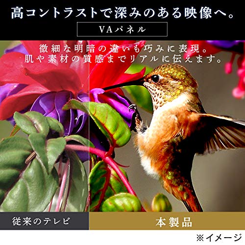 楽天ランキング アイリスオーヤマ 40V型 液晶テレビ : テレビ : アイリスオーヤマ 人気特価