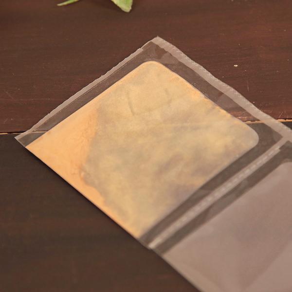 （分包サプリ）冬虫夏草 セピンA 犬猫用 体重6kgから9kg 1日0.3g30日分