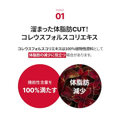 Qoo10] FOODOLOGY コレオロジーティーPRO 8gX15包 : 健康食品
