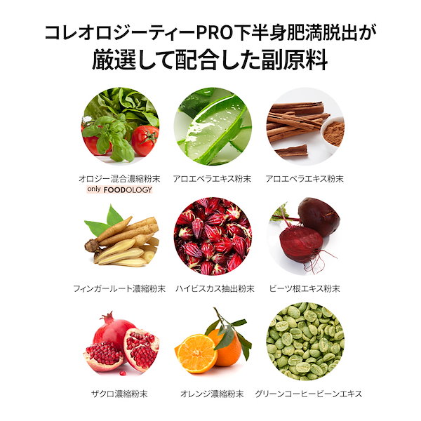 Qoo10] FOODOLOGY コレオロジーティーPRO 8gX15包