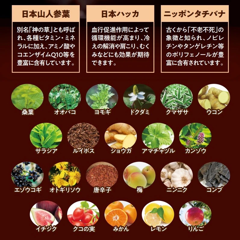 酵素女神 本生 濃縮酵素ペースト 30包2個 83品目の熟成酵素ペースト 酵素女神 本生 濃縮酵素ペースト 30包2個 83品目の熟成酵素ペースト