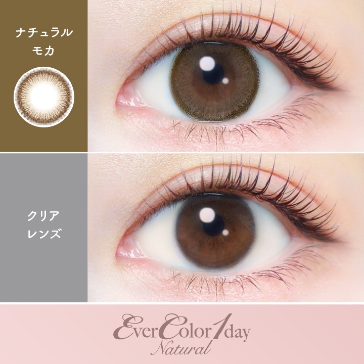 【2箱40枚入】カラコン 1day エバーカラーワンデー ナチュラル 新木優子 度あり 度なし DIA 14.5mm パールベージュ ひとめぼれの恋 くぎづけの心 ナチュラルブラウン