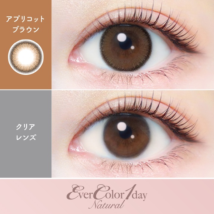 【2箱40枚入】カラコン 1day エバーカラーワンデー ナチュラル 新木優子 度あり 度なし DIA 14.5mm パールベージュ ひとめぼれの恋 くぎづけの心 ナチュラルブラウン