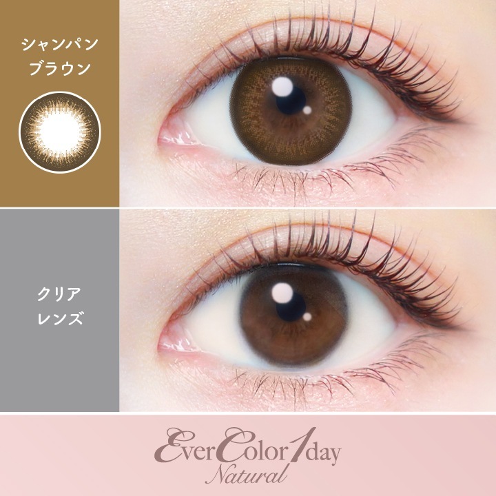 【2箱40枚入】カラコン 1day エバーカラーワンデー ナチュラル 新木優子 度あり 度なし DIA 14.5mm パールベージュ ひとめぼれの恋 くぎづけの心 ナチュラルブラウン