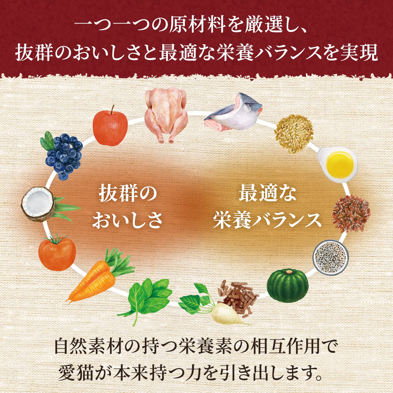 シュプレモ 子ねこ用 チキン&サーモン 2kg ドライフード 総合栄養食 子猫用 キトン 仔猫用 妊娠期・授乳期用 キャットフード 猫 厳選自然素材 香料・着色料 無添加 下部尿路の健康維