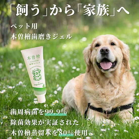 ペット用 木曽檜歯磨きジェル 120g 無添加 100% 天然由来成分 ペット用歯磨きジェル プラスケア 木曽檜 犬 猫 はみがき 除菌 抗菌 歯周病 口臭 研磨剤発泡剤防腐料合成香料人工着色料 ペット用 木曽檜歯磨きジェル 120g 無添加 100% 天然由来成分 ペット用歯磨きジェル プラスケア 木曽檜 犬 猫 はみがき 除菌 抗菌 歯周病 口臭 研磨剤発泡剤防腐料合成香料人工着色料