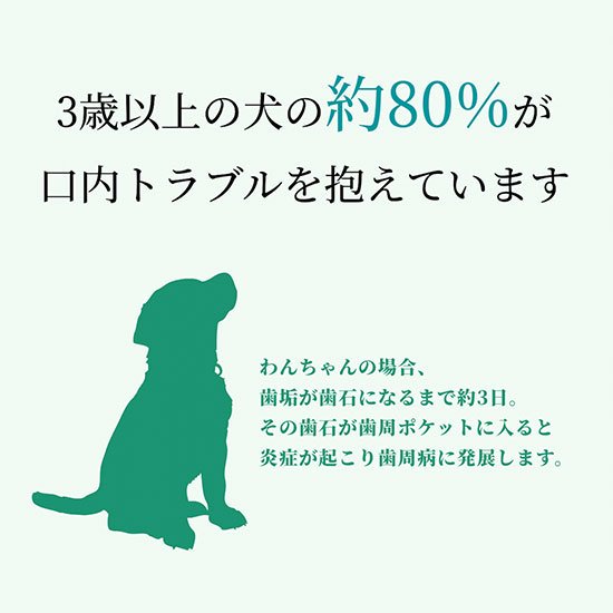 ペット用 木曽檜歯磨きジェル 120g 無添加 100% 天然由来成分 ペット用歯磨きジェル プラスケア 木曽檜 犬 猫 はみがき 除菌 抗菌 歯周病 口臭 研磨剤発泡剤防腐料合成香料人工着色料 ペット用 木曽檜歯磨きジェル 120g 無添加 100% 天然由来成分 ペット用歯磨きジェル プラスケア 木曽檜 犬 猫 はみがき 除菌 抗菌 歯周病 口臭 研磨剤発泡剤防腐料合成香料人工着色料