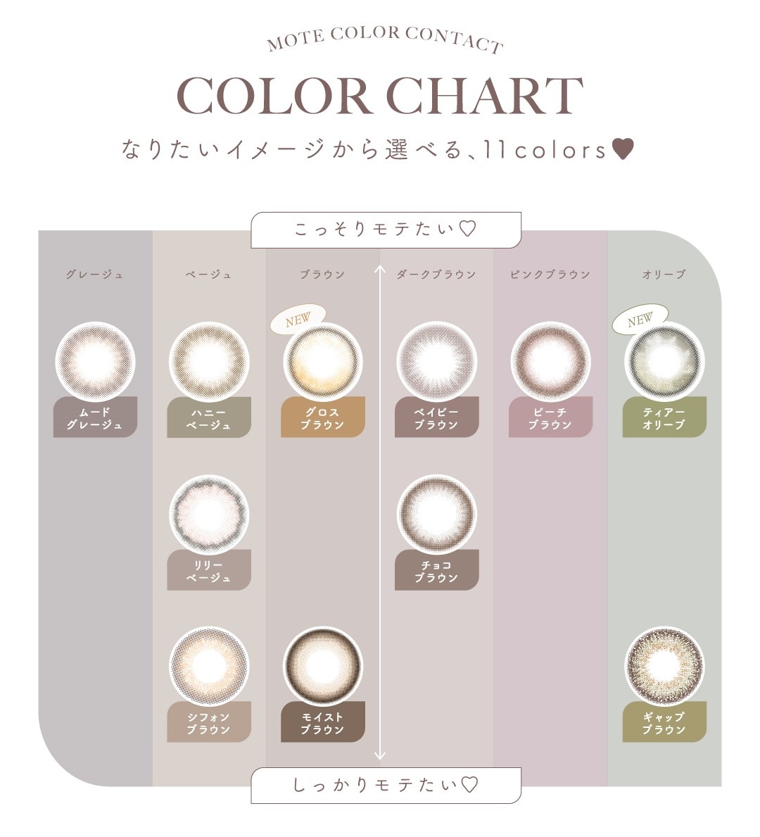 チューズミー 10枚入4箱セット / メール便