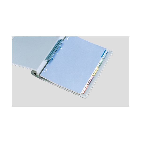 （まとめ）ライオン事務器 見出しラベル透明保護フィルム付 A4タテ 5色5山用 30片(各色6片) LC-42 1冊 〔×20セット〕 10 日用品雑貨・文房具・手芸 （まとめ）ライオン事務器 見出しラベル