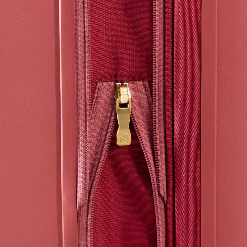 A.L.I　スーツケースハードVIOLA(ヴィオラ)旅行日数目安：3～4泊 36L(＋8)L 超軽量 機内持込サイズ 拡張可能 VIOLA ストロベリーピンク　VO11118W