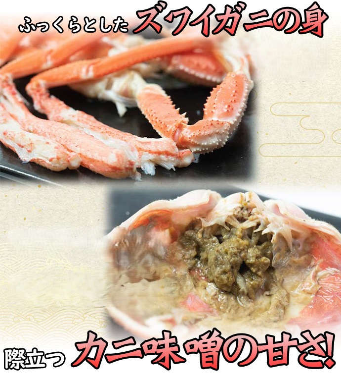 訳あり 活オオズワイガニ 小サイズ 8kg詰 身入り7割前後