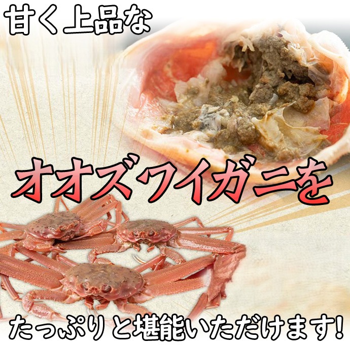 訳あり 活オオズワイガニ 小サイズ 8kg詰 身入り7割前後