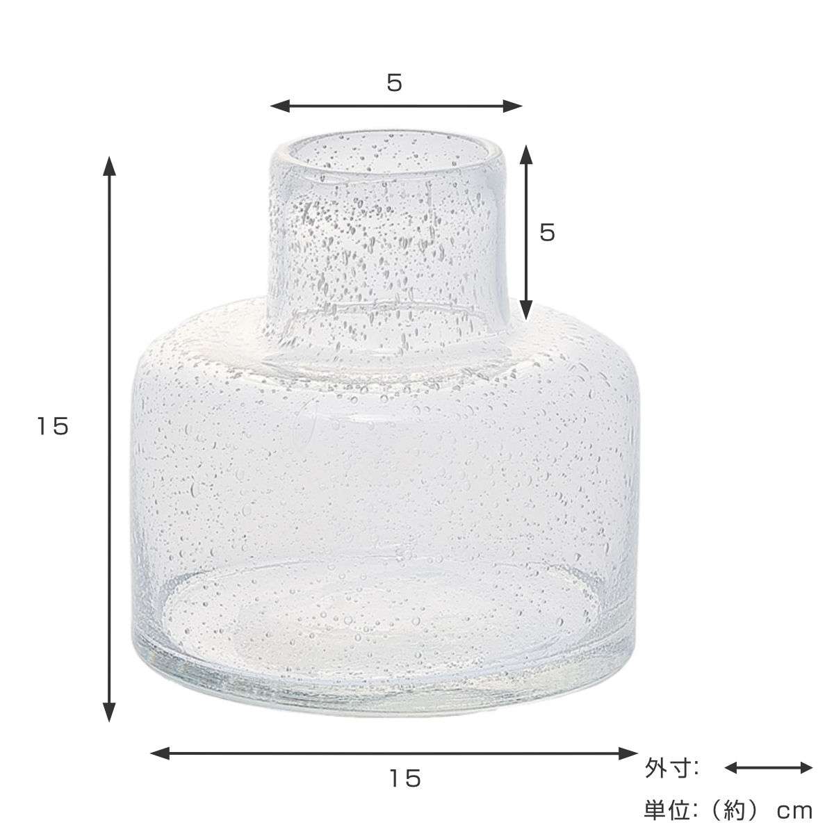 花瓶 DGボトルベース 直径15x高さ15cm クリアー ガラス おしゃれ 花器 花びん 一輪挿し フラワーベース 円形 透明 丸 インテリア 生け花 植物 お花 ガラス製 ドライフラワー 花瓶 DGボトルベース 直径15x高さ15cm クリアー ガラス おしゃれ 花器 花びん 一輪挿し フラワーベース 円形 透明 丸 インテリア 生け花 植物 お花 ガラス製 ドライフラワー