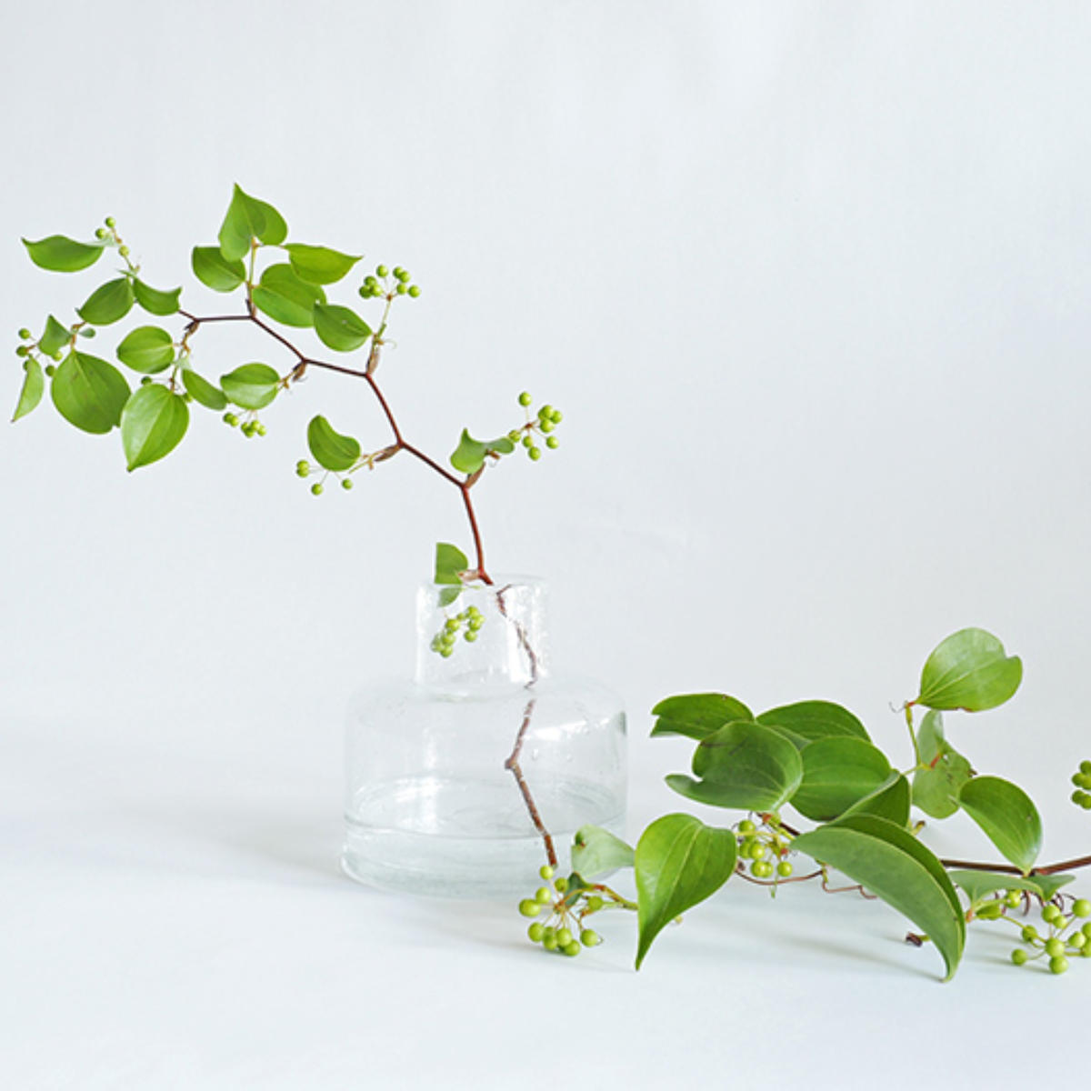 花瓶 DGボトルベース 直径15x高さ15cm クリアー ガラス おしゃれ 花器 花びん 一輪挿し フラワーベース 円形 透明 丸 インテリア 生け花 植物 お花 ガラス製 ドライフラワー 花瓶 DGボトルベース 直径15x高さ15cm クリアー ガラス おしゃれ 花器 花びん 一輪挿し フラワーベース 円形 透明 丸 インテリア 生け花 植物 お花 ガラス製 ドライフラワー