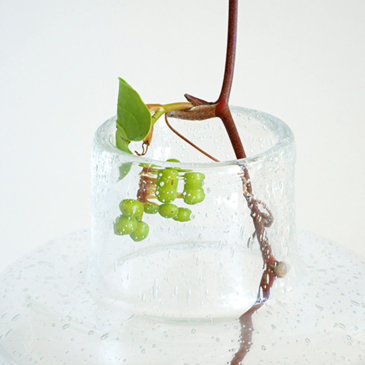 花瓶 DGボトルベース 直径15x高さ15cm クリアー ガラス おしゃれ 花器 花びん 一輪挿し フラワーベース 円形 透明 丸 インテリア 生け花 植物 お花 ガラス製 ドライフラワー 花瓶 DGボトルベース 直径15x高さ15cm クリアー ガラス おしゃれ 花器 花びん 一輪挿し フラワーベース 円形 透明 丸 インテリア 生け花 植物 お花 ガラス製 ドライフラワー