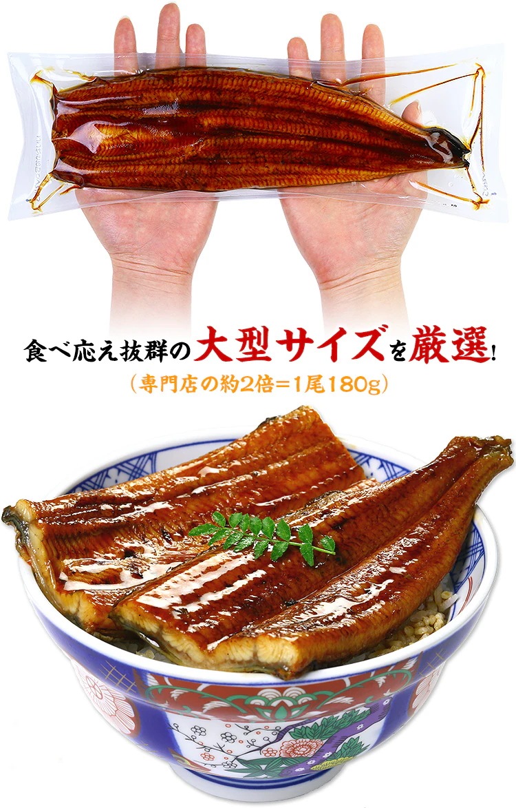 南九州ブランドうなぎ蒲焼き特大サイズ4尾入り 内祝 ギフト 土用 丑の日 プレゼント