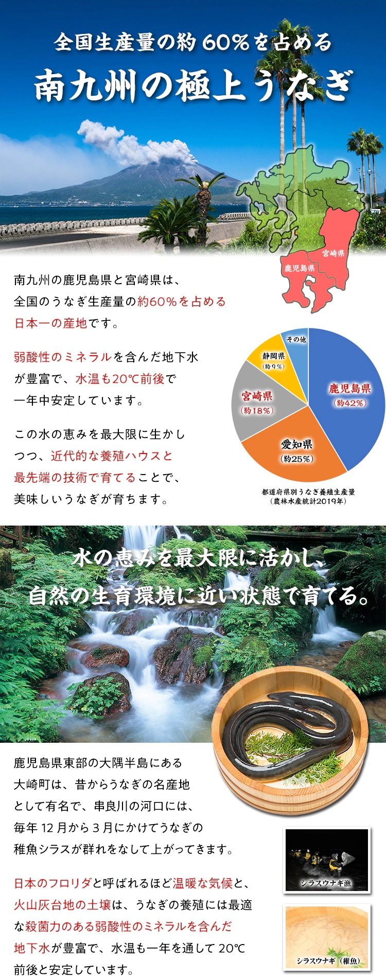 南九州ブランドうなぎ蒲焼き特大サイズ4尾入り 内祝 ギフト 土用 丑の日 プレゼント
