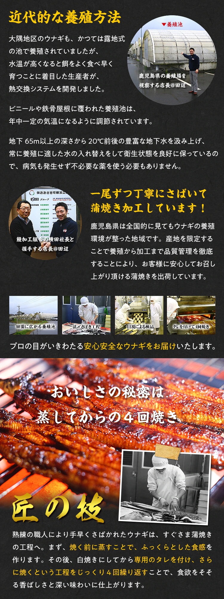 南九州ブランドうなぎ蒲焼き特大サイズ4尾入り 内祝 ギフト 土用 丑の日 プレゼント