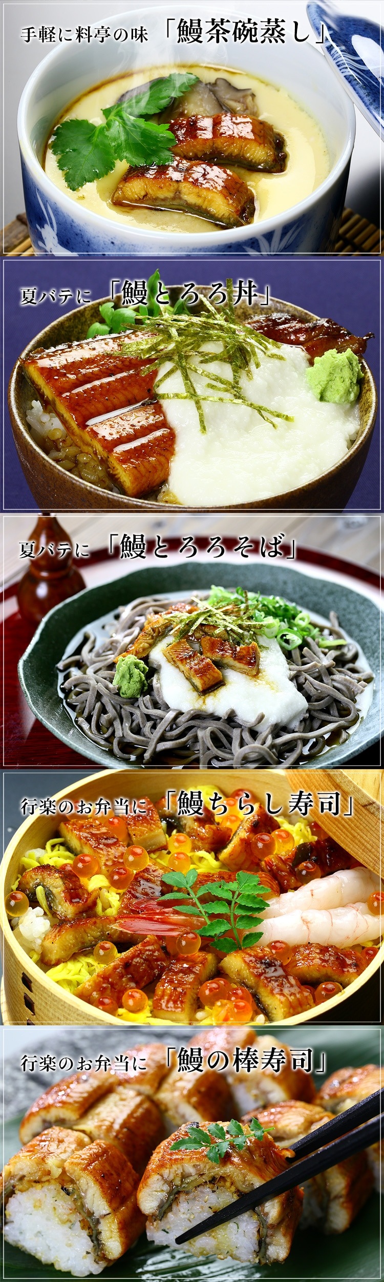 南九州ブランドうなぎ蒲焼き特大サイズ4尾入り 内祝 ギフト 土用 丑の日 プレゼント