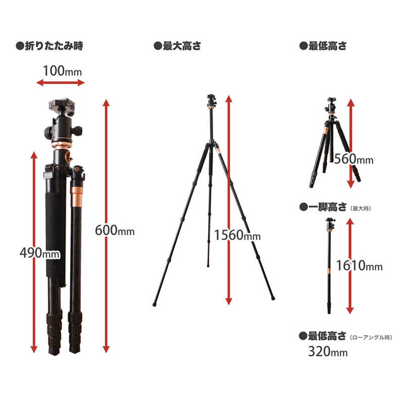 サンコー 一脚にもなる「俯瞰三脚」スマートフォンホルダー付き CWTSAFSBK サンコー 一脚にもなる「俯瞰三脚」スマートフォンホルダー付き CWTSAFSBK