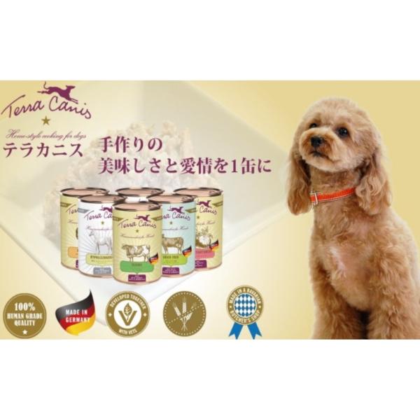 Terra Canis テラカニス ハイポアレルゲン カンガルーとパースニップ グレインフリー 1種類のお肉と1種類の野菜 400g 6個 2400g ドッグフード 缶詰 Terra Canis テラカニス ハイポアレルゲン カンガルーとパースニップ グレインフリー 1種類のお肉と1種類の野菜 400g 6個 2400g ドッグフード 缶詰