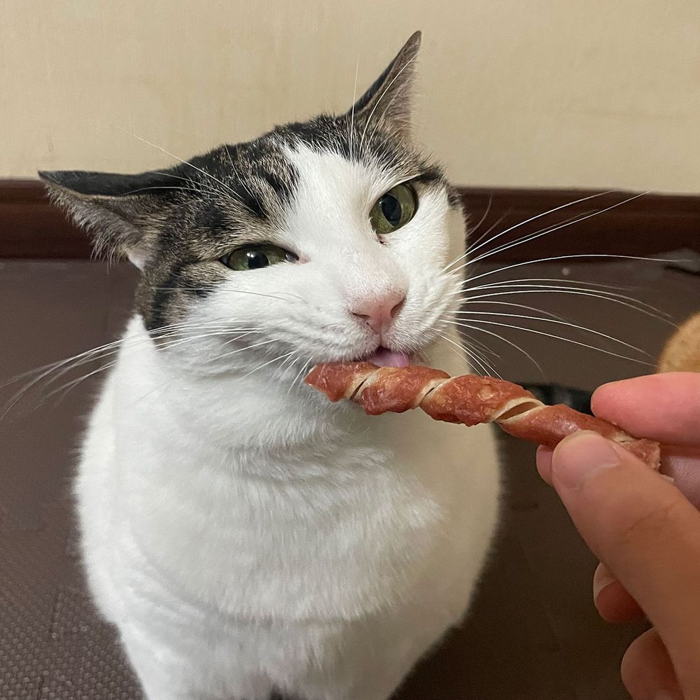 （まとめ買い）ハッスルおやつ研究所 キャット ぐるりんちょ まぐろ＆たら 5本入 猫用おやつ [x20]