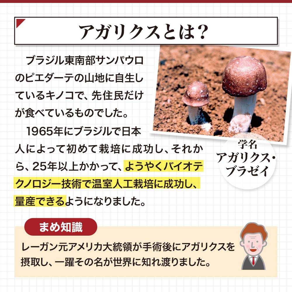 アガリクス茸ゴールド粒 300粒*12個 約300-360日分 サプリメント サプリ