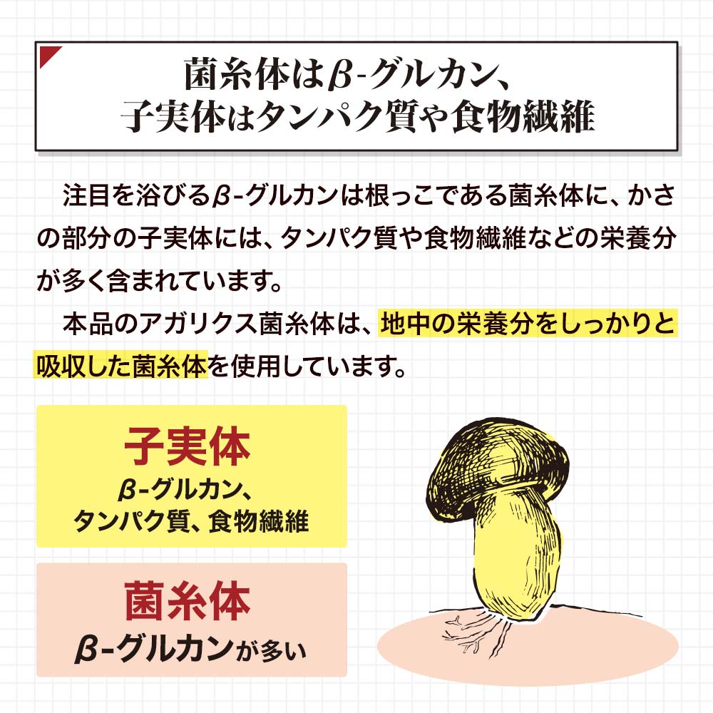 アガリクス茸ゴールド粒 300粒*12個 約300-360日分 サプリメント サプリ