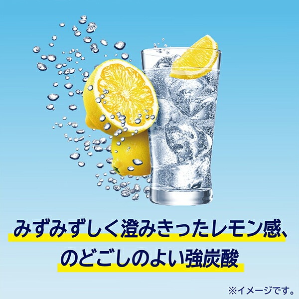 9% チューハイ キリン 氷結 無糖レモン Alc.9% 350ml×2ケース/48本(048)『BSH』 9% チューハイ キリン 氷結 無糖レモン Alc.9% 350ml×2ケース/48本(048)『BSH』