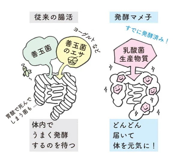 発酵マメ子 セルズケア 1ヶ月分 60カプセル大豆発酵 サプリメント 腸活 発酵 乳酸菌 国産有機大豆 ウロリチンA　NMN　PQQ　CoQ10　マルチビタミン　ミネラル健康食品 mdprevattcaulkingandwaterproofing.com