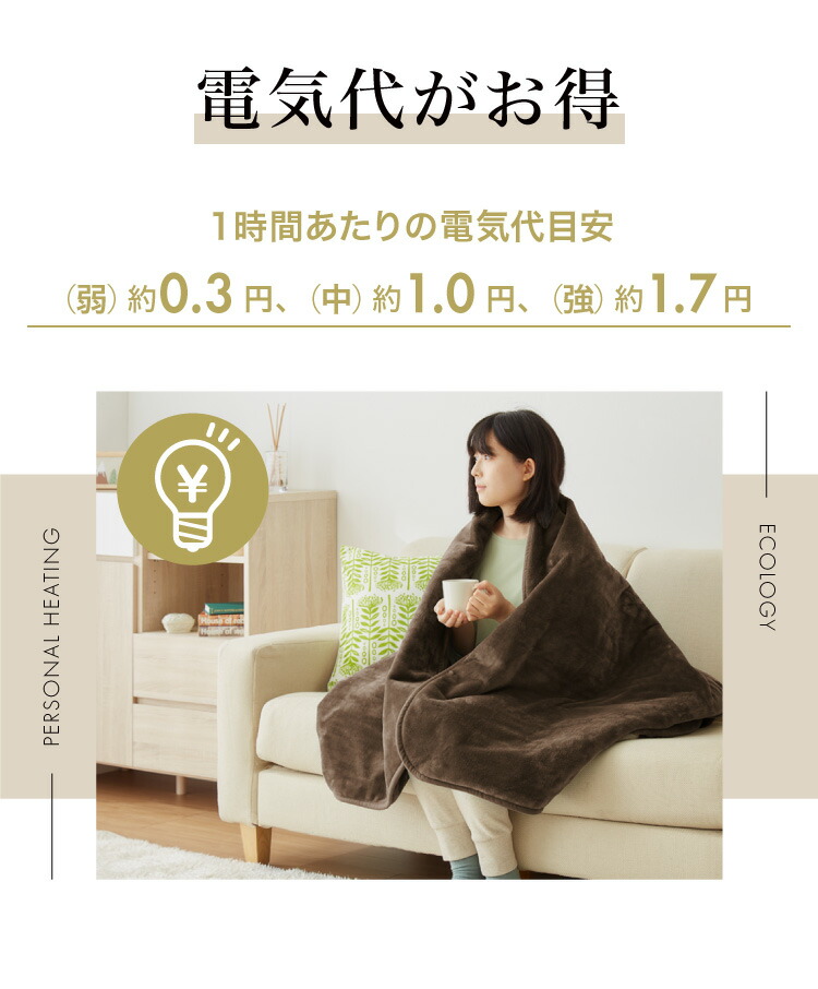 フランネル掛敷電気毛布 ダブル 洗える 電気毛布 抗菌 防臭 防ダニ 本体丸洗い 室温センサー ダニ退治 ブラウン 掛け敷き