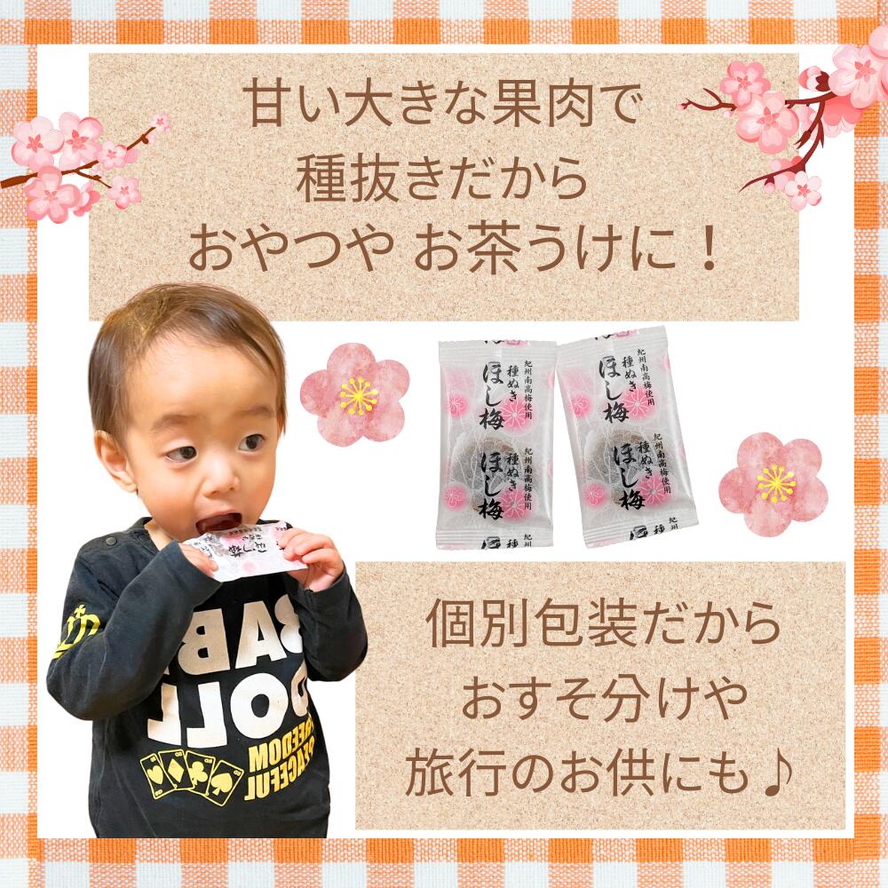 ほし梅 種なし 干し梅 マルチョウフーズ 紀州南高梅使用 25袋セット ほし梅 種なし 干し梅 マルチョウフーズ 紀州南高梅使用 25袋セット