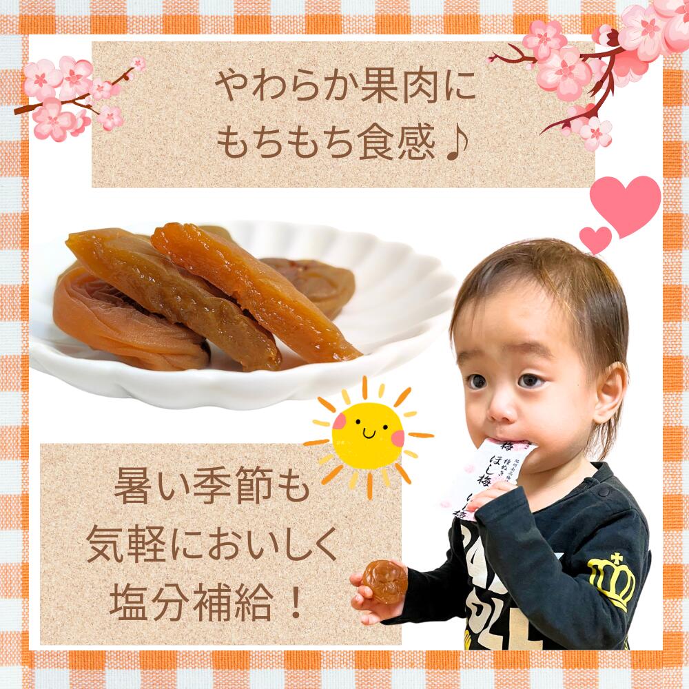 ほし梅 種なし 干し梅 マルチョウフーズ 紀州南高梅使用 25袋セット ほし梅 種なし 干し梅 マルチョウフーズ 紀州南高梅使用 25袋セット
