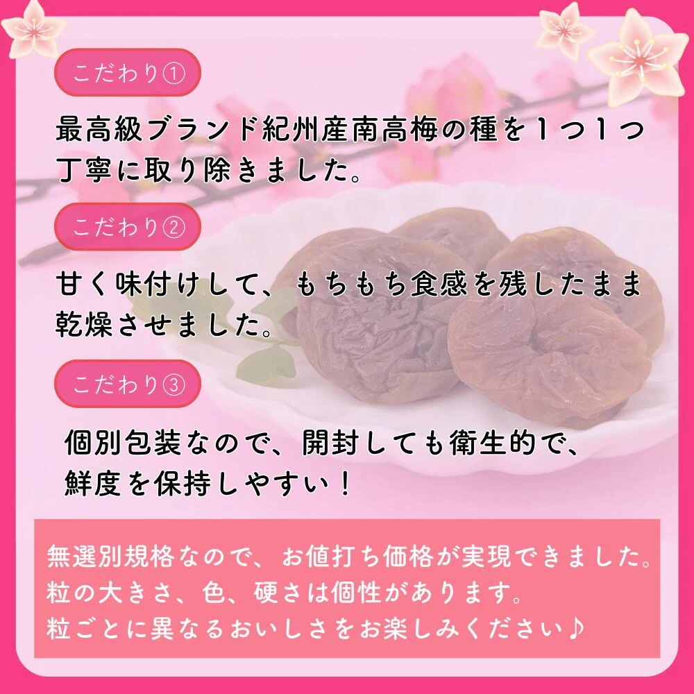 ほし梅 種なし 干し梅 マルチョウフーズ 紀州南高梅使用 25袋セット ほし梅 種なし 干し梅 マルチョウフーズ 紀州南高梅使用 25袋セット