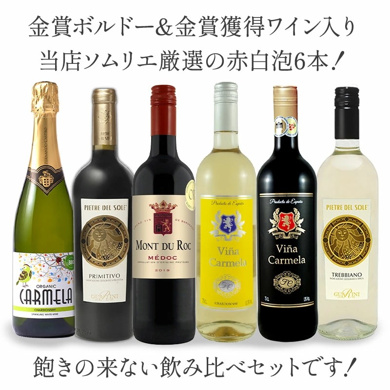 厳選 赤白泡 6本 ワインセット 金賞ボルドー ＆ オーガニックワイン 入り【5営業日以内に出荷】[W] [WT26] 母の日 父の日 ギフト