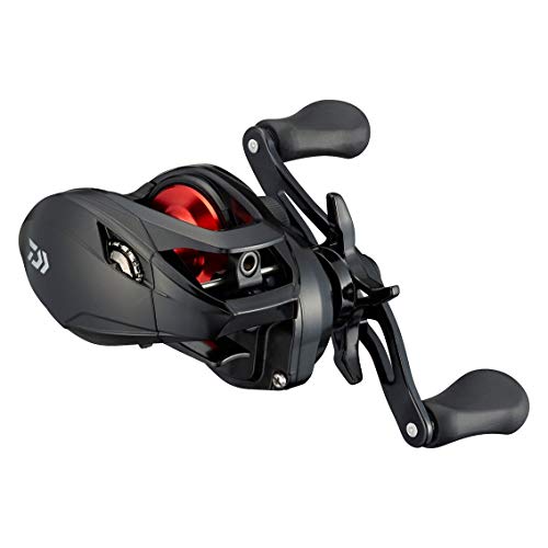 適切な価格 ダイワ(DAIWA) 3.5号糸付き PR100/100L/100 21 ベイト