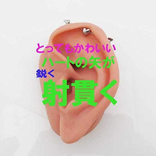 5点セット メガ割 ボディピアス インダストリアル 14g ハートの矢 サージカルステンレス ヘリックスピアス 軟骨ピアス シングル福袋 5点セット メガ割 ボディピアス インダストリアル 14g ハートの矢 サージカルステンレス ヘリックスピアス 軟骨ピアス シングル福袋