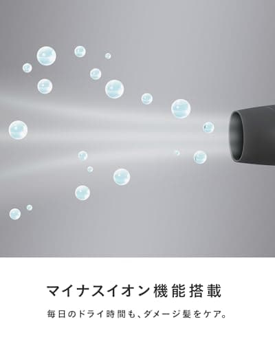SALONIA サロニア スピーディーイオン ドライヤー 【ホワイト】 ヘアドライヤー 大風量 速乾 軽量 マイナスイオン SL-013WH