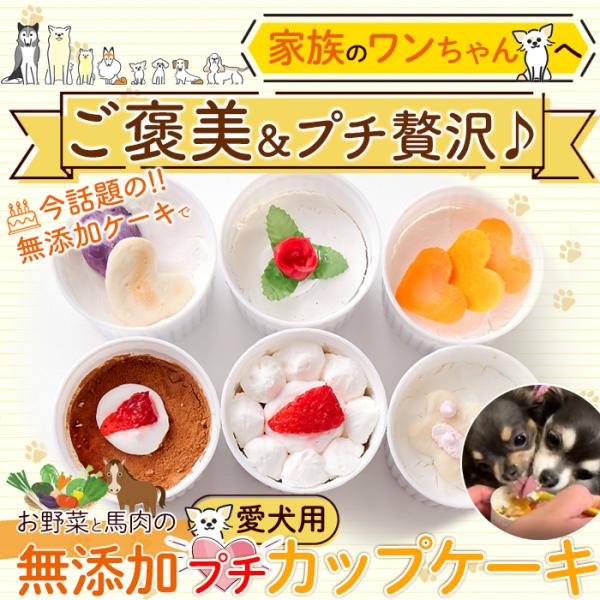 ドッグフード 犬 餌 エサ 誕生日 記念 お祝い ご褒美 無添加 愛犬 カップケーキ 保存料不使用 着色料 野菜 馬肉 さつまいも かぼちゃ 人参