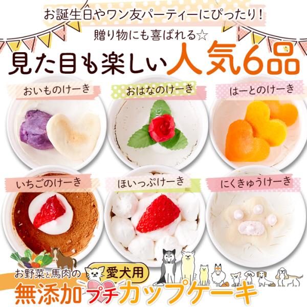 ドッグフード 犬 餌 エサ 誕生日 記念 お祝い ご褒美 無添加 愛犬 カップケーキ 保存料不使用 着色料 野菜 馬肉 さつまいも かぼちゃ 人参
