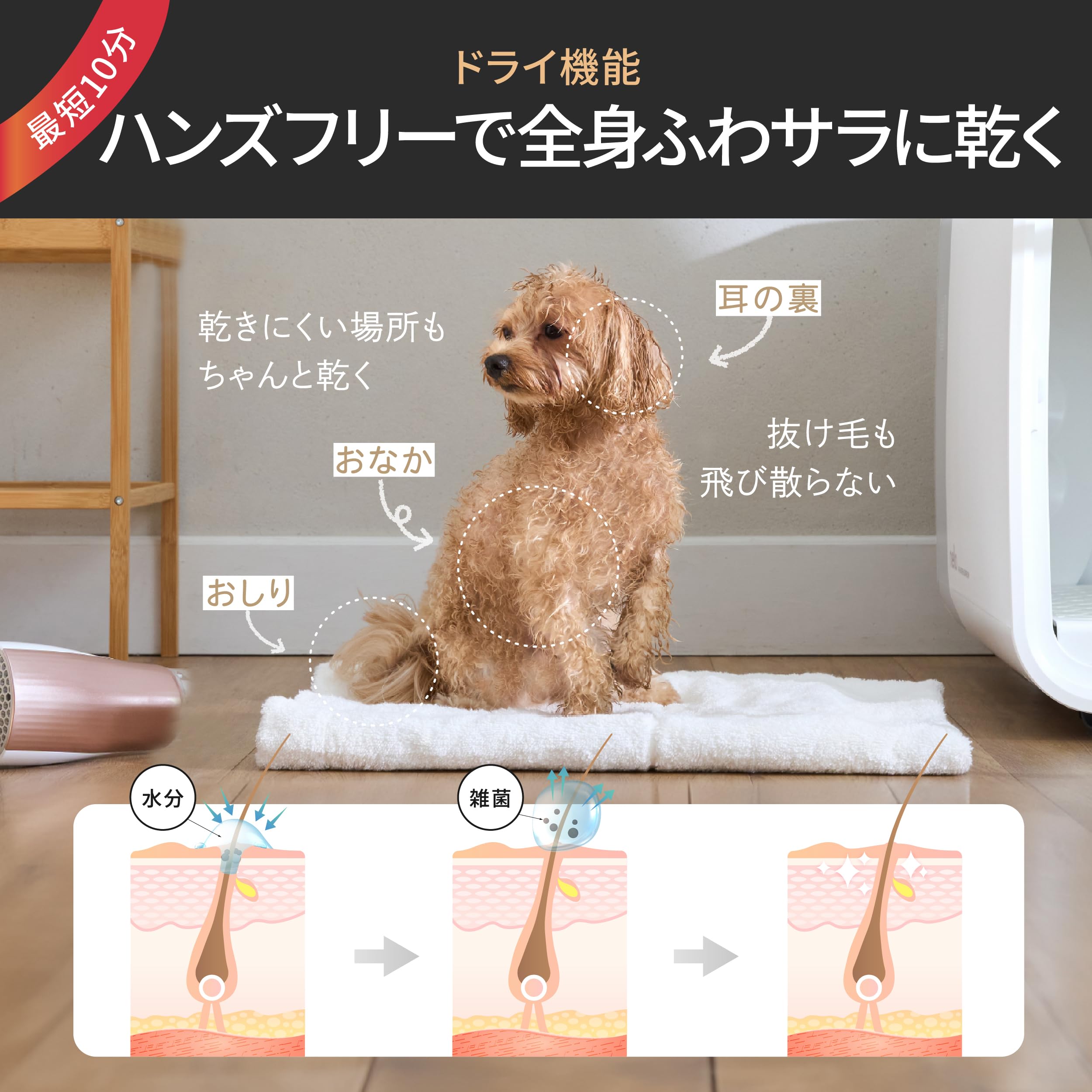 【2024モデル】nelloペットドライルーム＋Deo ペット 犬 猫 エアシャワー ペットドライヤー ドライヤーハウス 大容量 快適 静音 乾燥機 ボックス 多頭用 過熱保護 風力/温度調節 花粉
