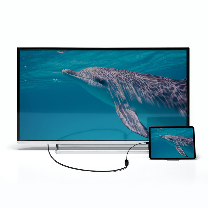 （まとめ買い）USB Type-C-HDMI変換アダプタ 4K/60Hz/HDR対応 AD-ALCHDR02 [x3]