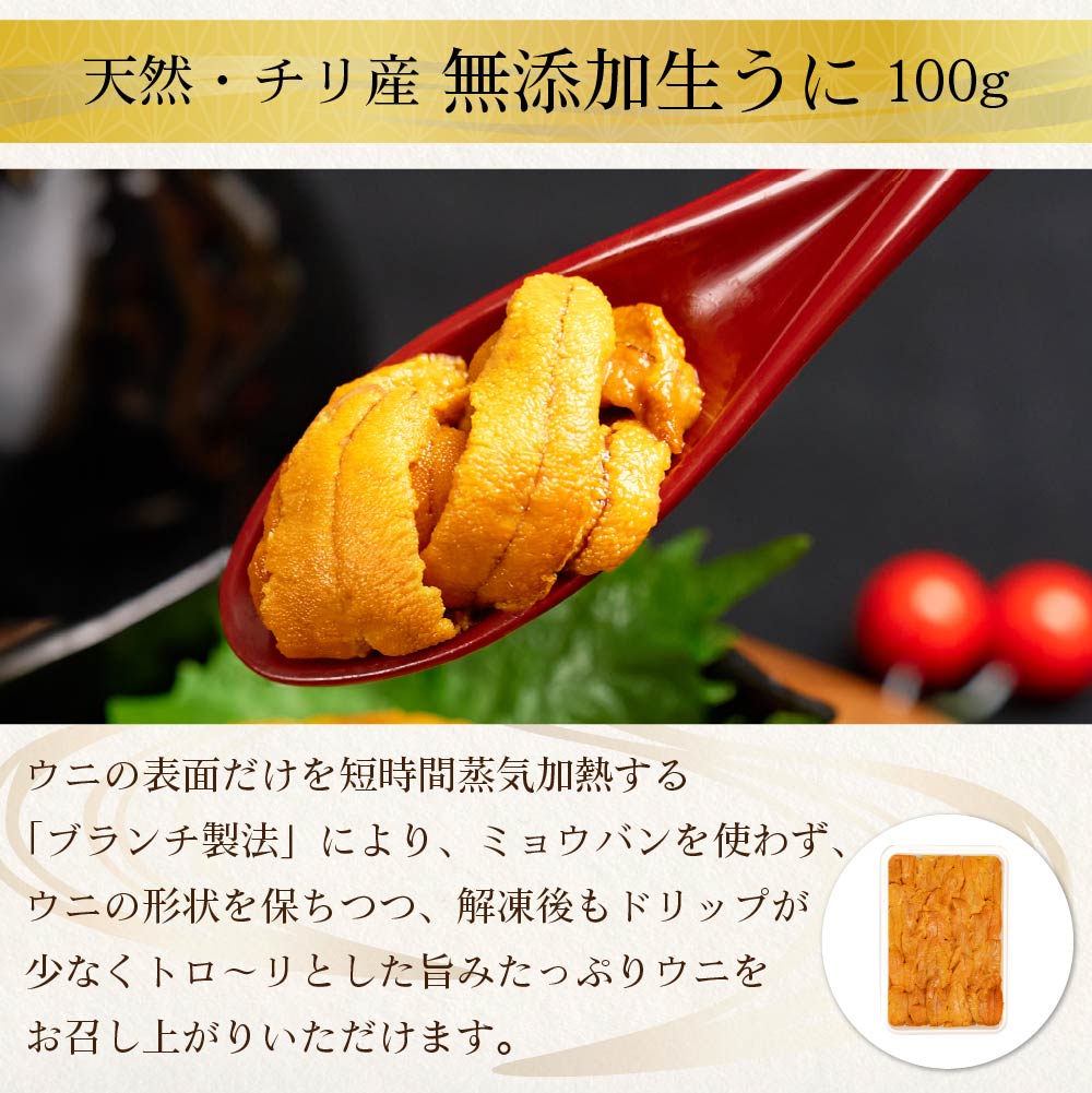 海鮮 ギフト 北海道 豪華海鮮セット 11品 「祝宴」ミョウバン不使用 生ウニ いくら 本マグロ 刺身 プレミアム 福袋 海鮮福袋 北海道 お歳暮 御歳暮 クリスマス