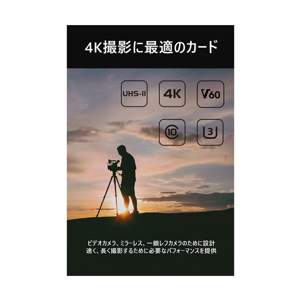旭東エレクトロニクス SUNEAST SDXC UHS-II カード 256GB V60 SE-SDU2256GB2801枚
